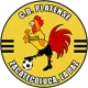 C.D. Platense