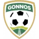 Gonnosfanadiga