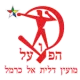 Hapoel Dalit El Carmel