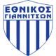 AS Ethnikos Giannitson