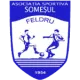 ACS Prosomeș Feldru