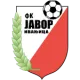 FK Javor Ivanjica U19