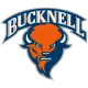 Bucknell Bison