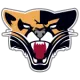 Saint Xavier Cougars