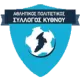 APS Kythnou