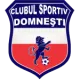 CS Domnești