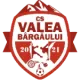 CS Valea Bârgăului 2021