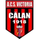 ACS Victoria Călan
