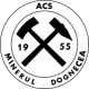 ACS 1955 Minerul Dognecea