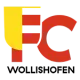 FC Wollishofen