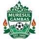 ACS Mureșul Gâmbaș