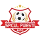 AFC Puiești