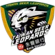 Taiwan Beer Leopards