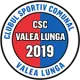 CS Comunal Valea Lungă