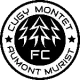FC Cugy-Montet-Aumont-Murist