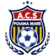 ACS Tineretul Poiana Mare