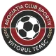 ACS Viitorul Teasc