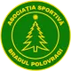 AS Bradul Polovragi