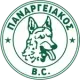 Panargiakos BC
