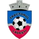 ACS Tractorul Lădești
