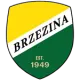 Brzezina Osiek