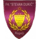 FK Stevan Dukić Rogolji