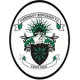 Haringey Borough Wfc