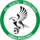 KS Sokół Mieścisko