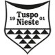 TuSpo Nieste 1901 II