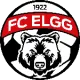 FC Elgg
