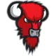 Bisons Loimaa