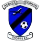 Cobham Sports FC