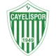 Çayeli Spor