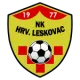 Hrvatski Leskovac - Veterani