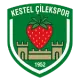 Kestel Çilekspor