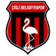 Çiğli Belediyespor