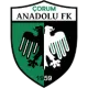 Çorum Anadolu FK