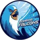 Adamson Falcons