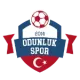 Odunlukspor