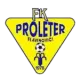 FK Proleter Slavinovici