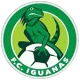 FC Iguanas