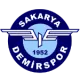 Sakarya Demirspor