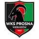 WKS Prosna Wieruszów