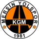 İçel Yolspor