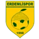 Erdemlispor