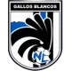 CF Gallos Nuevo León